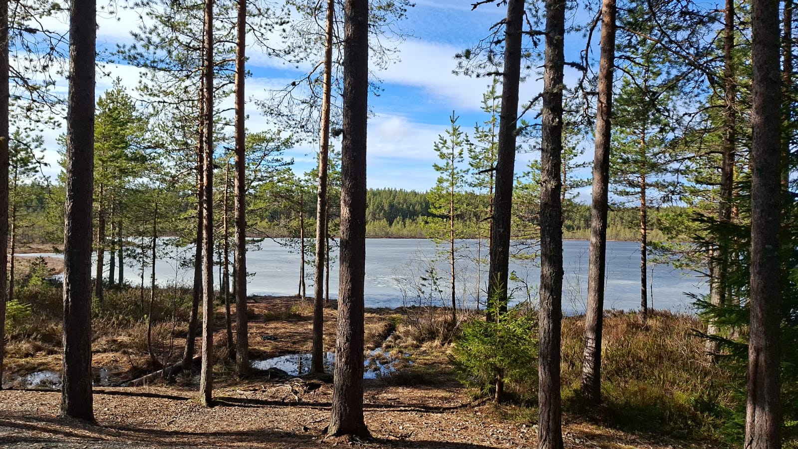 Kuva: Hanna Mäkitalo