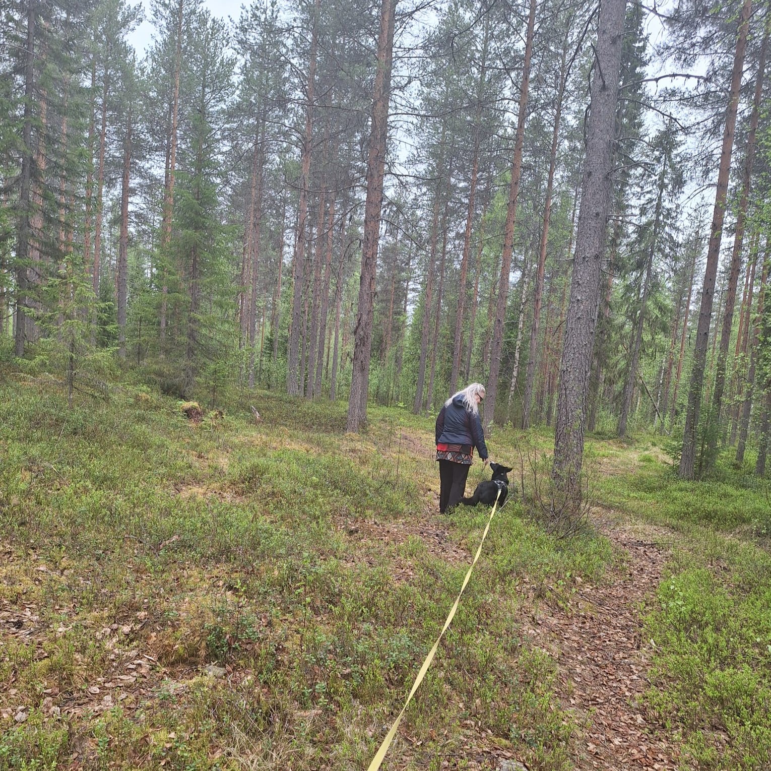 Maarit ja koira keväisellä havumetsäpolulla